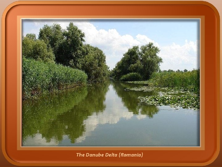 The Danube Delta (Romania) 