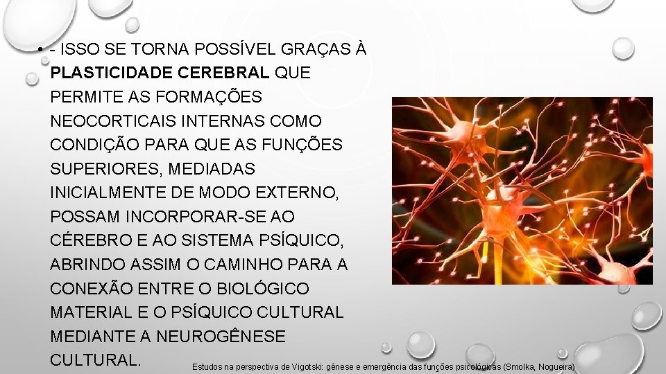  • - ISSO SE TORNA POSSÍVEL GRAÇAS À PLASTICIDADE CEREBRAL QUE PERMITE AS