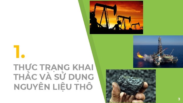 1. THỰC TRẠNG KHAI THÁC VÀ SỬ DỤNG NGUYÊN LIỆU THÔ 3 