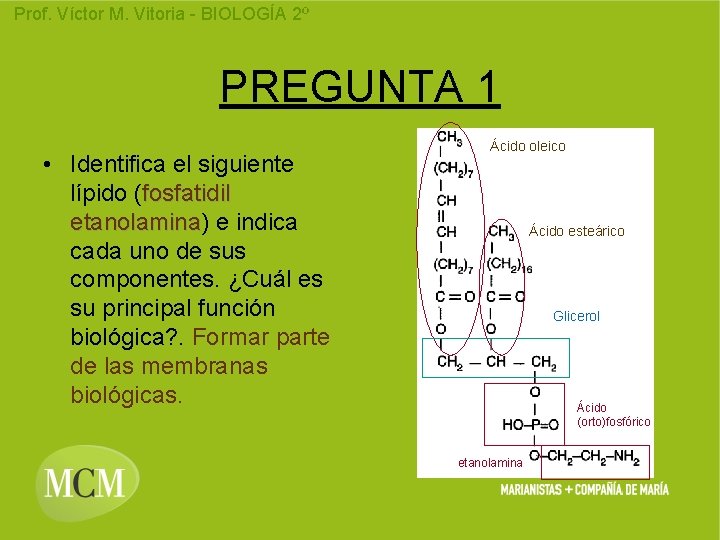 Prof. Víctor M. Vitoria - BIOLOGÍA 2º PREGUNTA 1 • Identifica el siguiente lípido