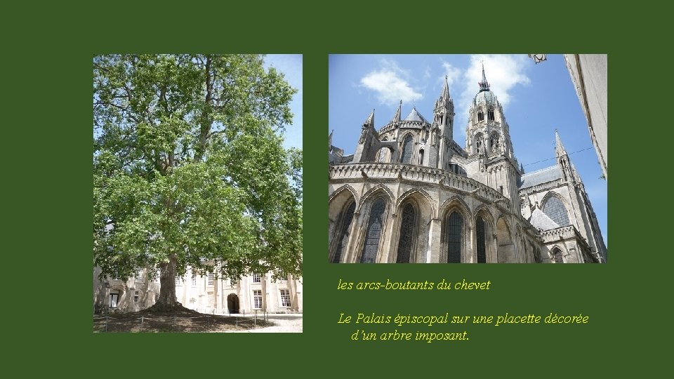 les arcs-boutants du chevet Le Palais épiscopal sur une placette décorée d’un arbre imposant.