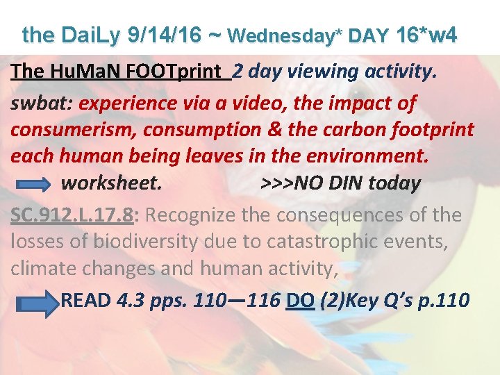 Lesson Overview What is Ecology? the Dai. Ly 9/14/16 ~ Wednesday* DAY 16*w 4