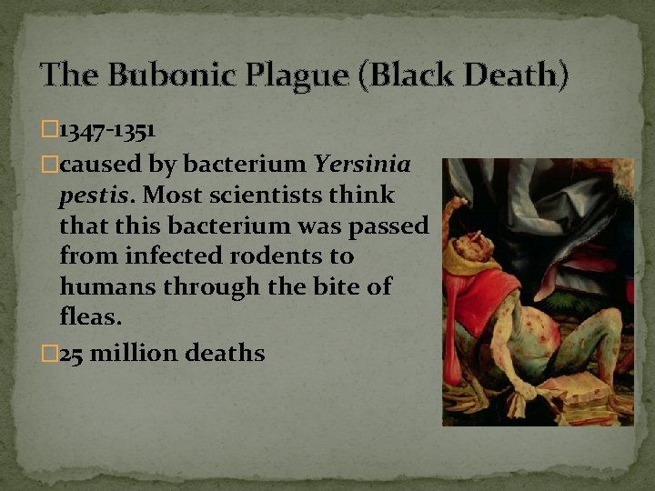 The Bubonic Plague (Black Death) � 1347 -1351 �caused by bacterium Yersinia pestis. Most