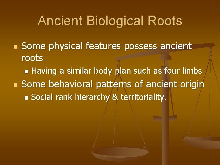 Ancient Biological Roots n Some physical features possess ancient roots n n Having a