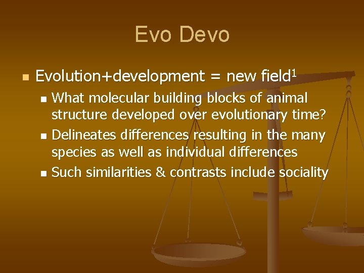 Evo Devo n Evolution+development = new field 1 What molecular building blocks of animal