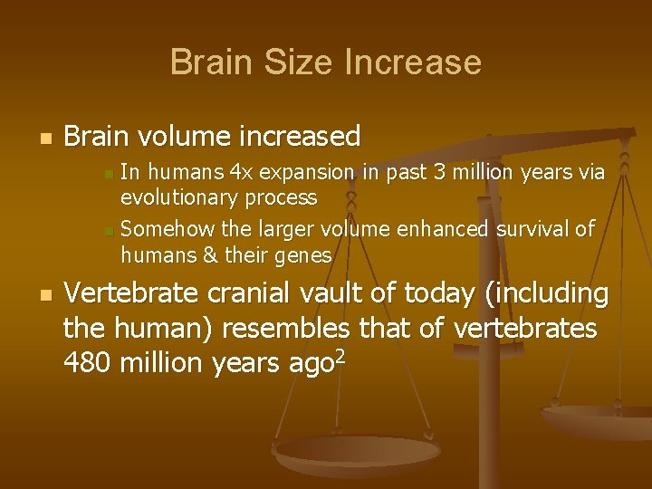 Brain Size Increase n Brain volume increased In humans 4 x expansion in past