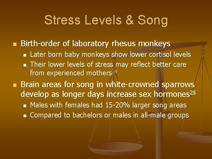 Stress Levels & Song n Birth-order of laboratory rhesus monkeys n n n Later