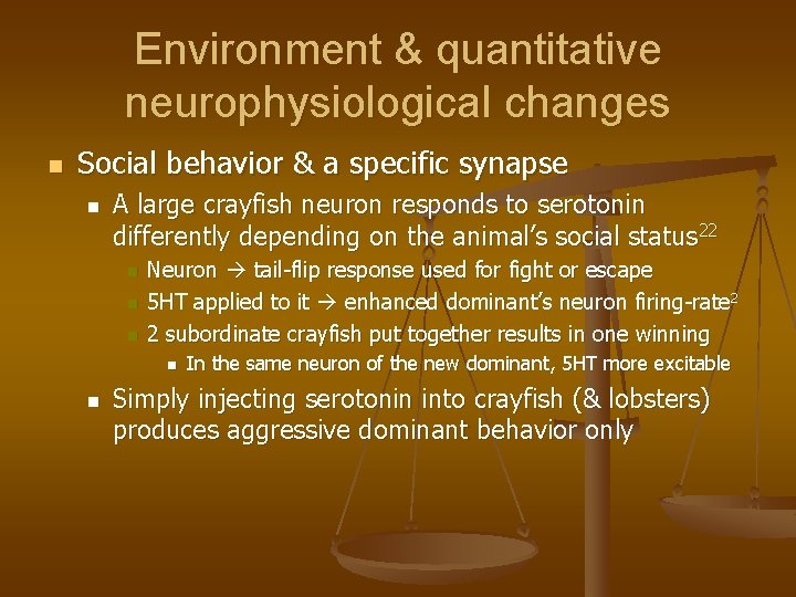 Environment & quantitative neurophysiological changes n Social behavior & a specific synapse n A