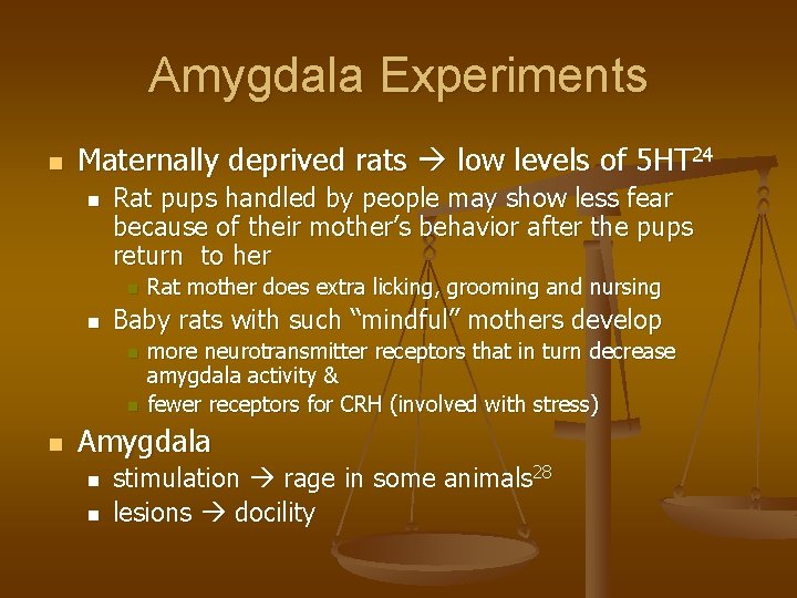 Amygdala Experiments n Maternally deprived rats low levels of 5 HT 24 n Rat