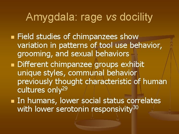 Amygdala: rage vs docility n n n Field studies of chimpanzees show variation in