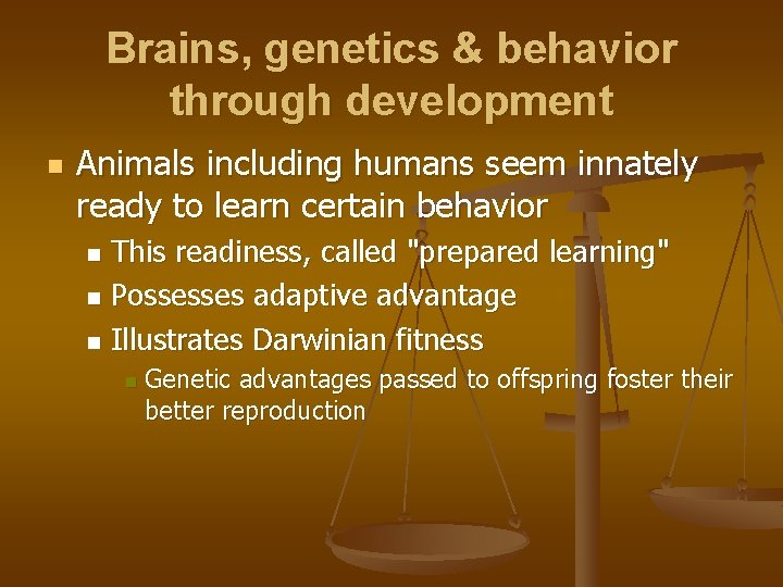 Brains, genetics & behavior through development n Animals including humans seem innately ready to