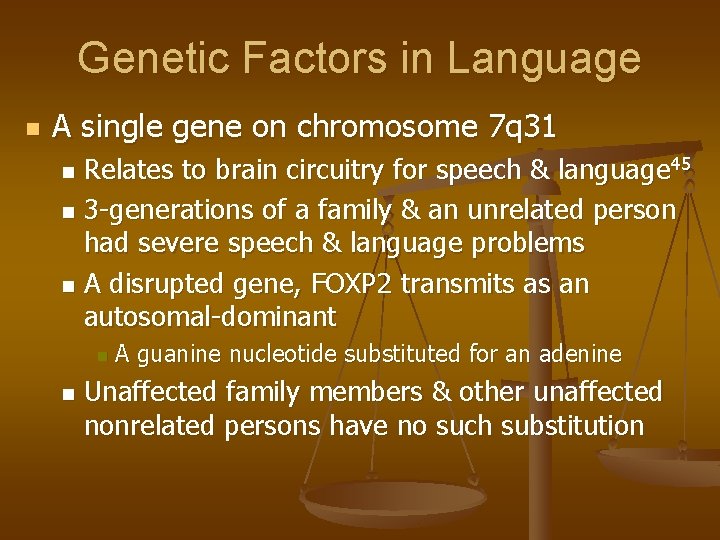 Genetic Factors in Language n A single gene on chromosome 7 q 31 Relates