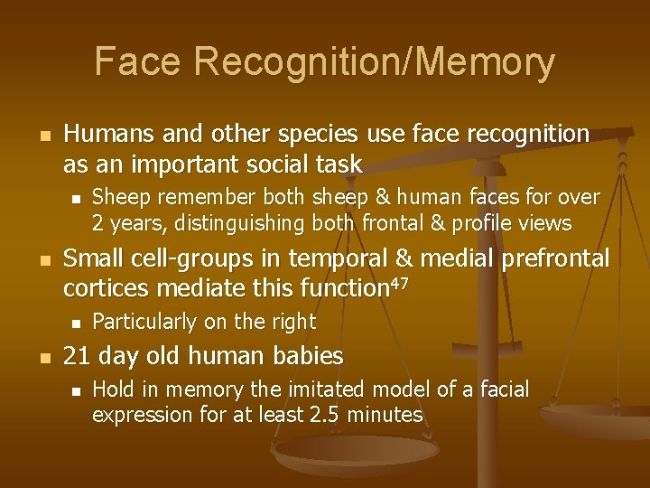 Face Recognition/Memory n Humans and other species use face recognition as an important social