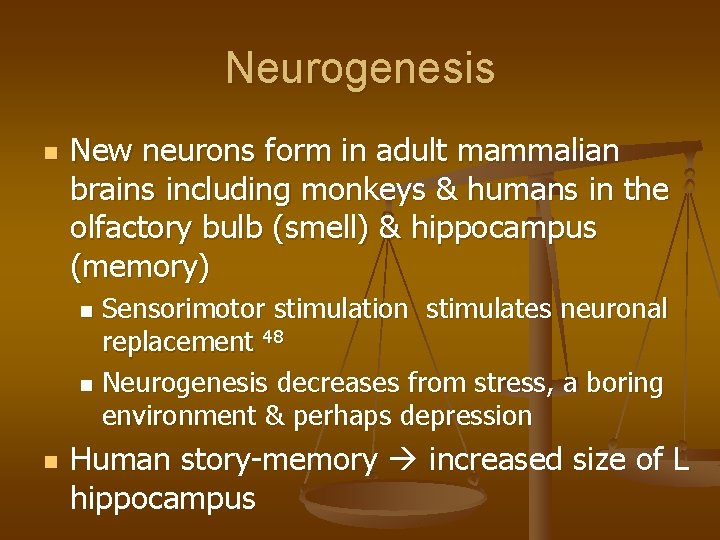 Neurogenesis n New neurons form in adult mammalian brains including monkeys & humans in
