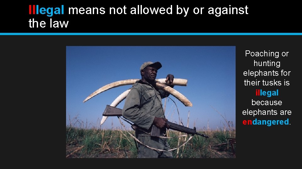 Illegal means not allowed by or against the law Poaching or hunting elephants for