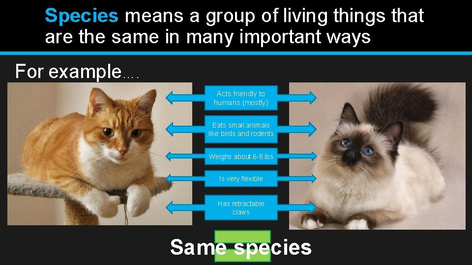 Species means a group of living things that are the same in many important