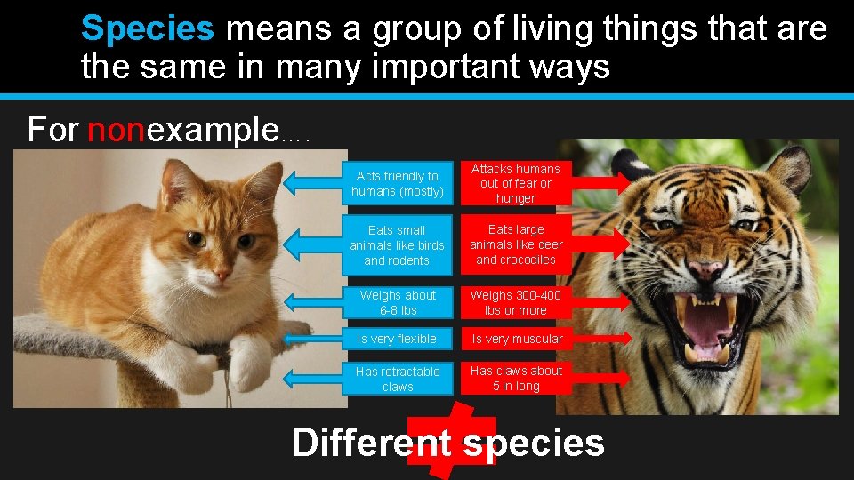 Species means a group of living things that are the same in many important