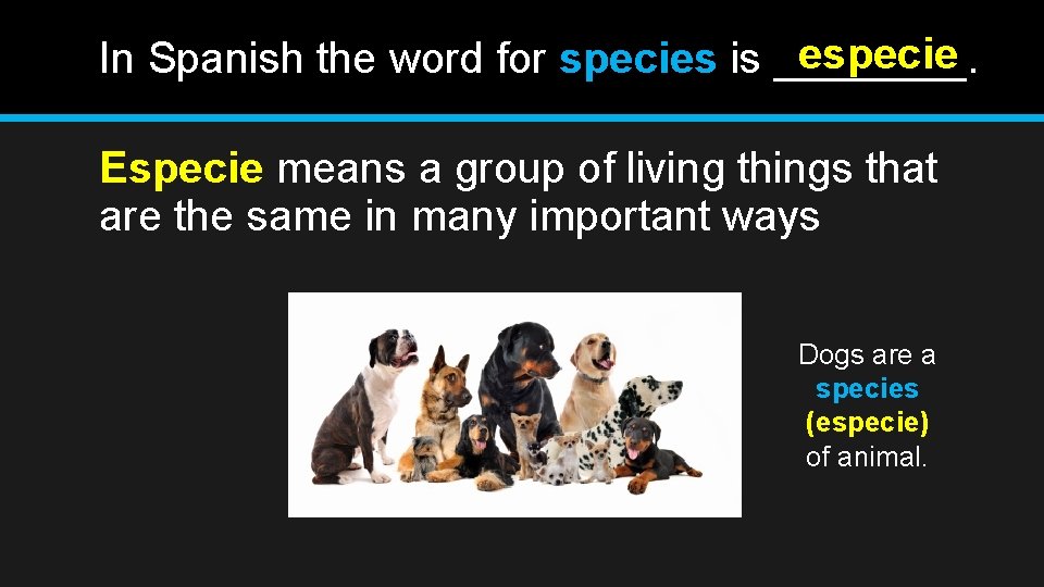 especie In Spanish the word for species is ____. Especie means a group of