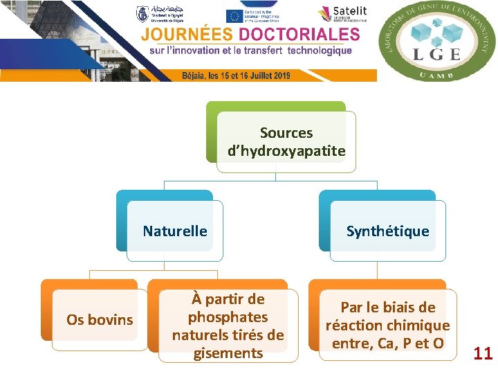 Sources d’hydroxyapatite Naturelle Os bovins À partir de phosphates naturels tirés de gisements Synthétique