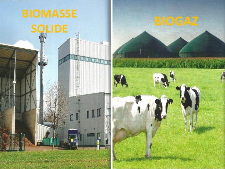 BIOMASSE SOLIDE BIOGAZ 