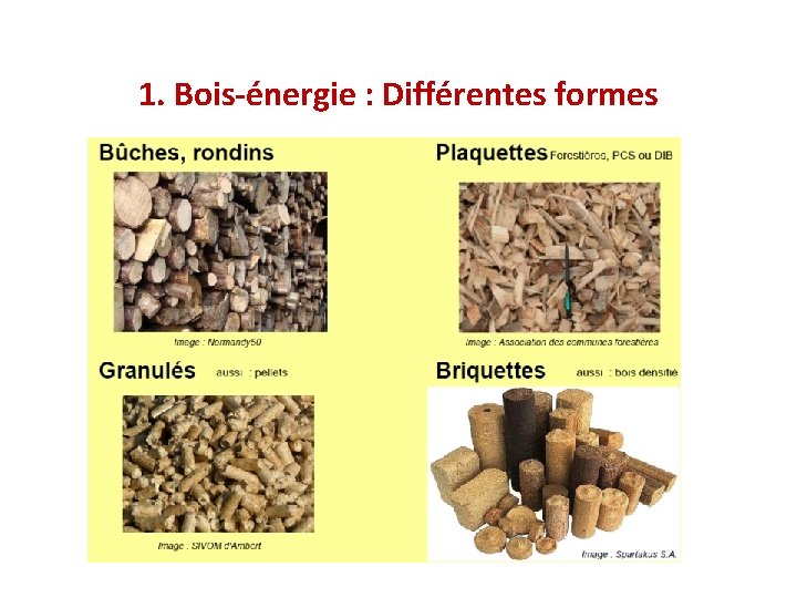 1. Bois-énergie : Différentes formes 