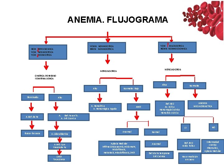 ANEMIA. FLUJOGRAMA VCM MACROCITICA HCMN NORMOCROMICA VCMN NORMOCITICA HBCN NORMOCITICA HCM HIPOCROMICA VCM NORMOCITICA