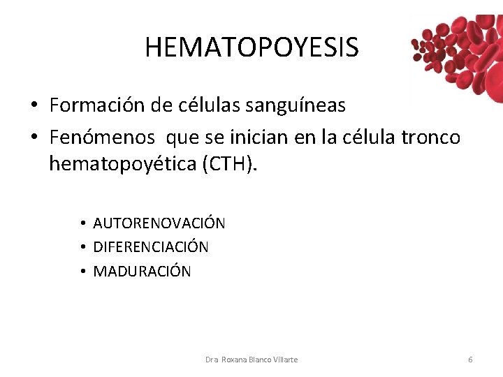 HEMATOPOYESIS • Formación de células sanguíneas • Fenómenos que se inician en la célula