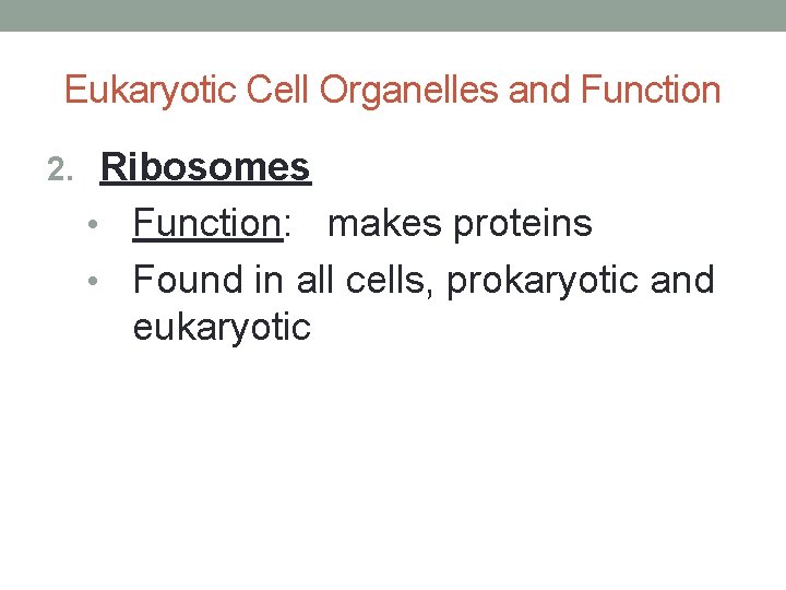 Eukaryotic Cell Organelles and Function 2. Ribosomes Function: makes proteins • Found in all