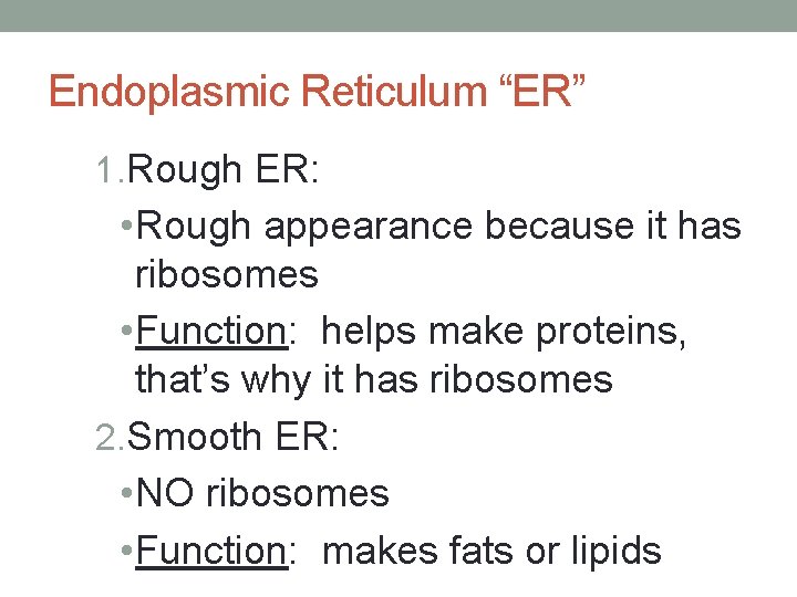 Endoplasmic Reticulum “ER” 1. Rough ER: • Rough appearance because it has ribosomes •