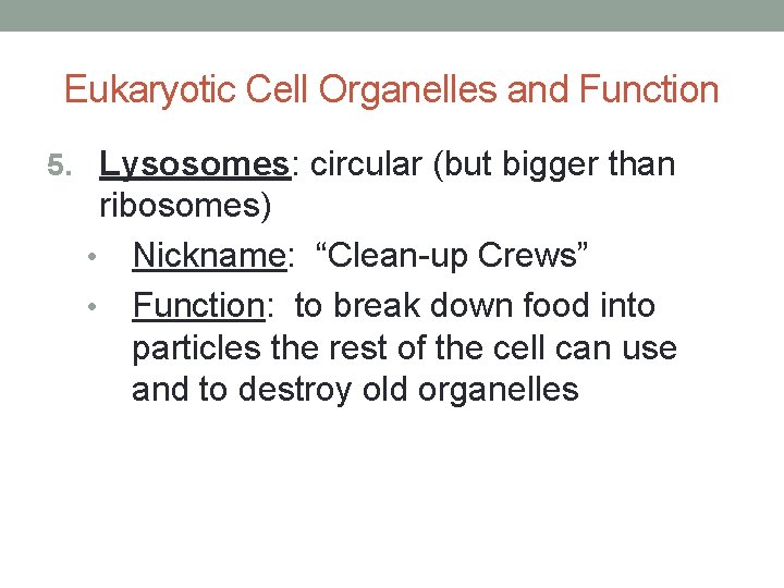 Eukaryotic Cell Organelles and Function 5. Lysosomes: circular (but bigger than ribosomes) • Nickname: