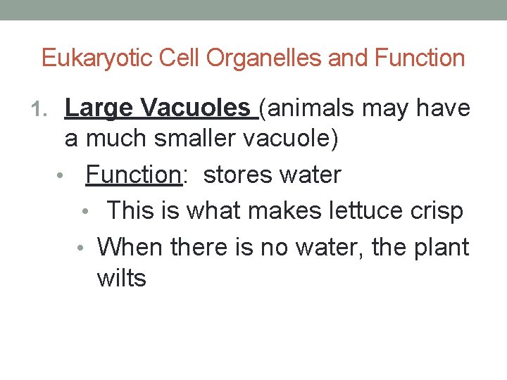 Eukaryotic Cell Organelles and Function 1. Large Vacuoles (animals may have a much smaller