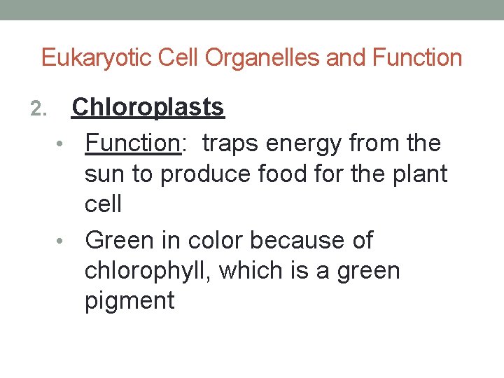 Eukaryotic Cell Organelles and Function 2. Chloroplasts • Function: traps energy from the sun