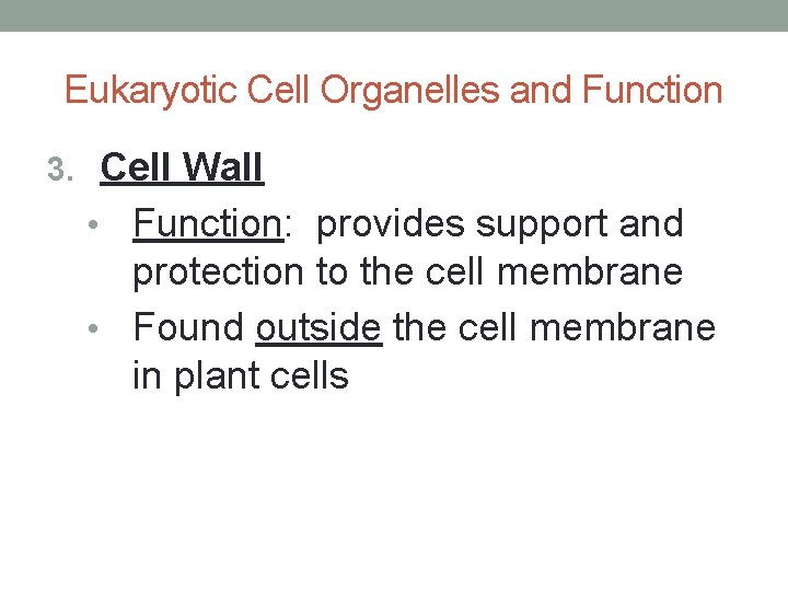 Eukaryotic Cell Organelles and Function 3. Cell Wall Function: provides support and protection to