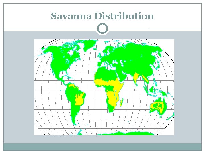 Savanna Distribution 
