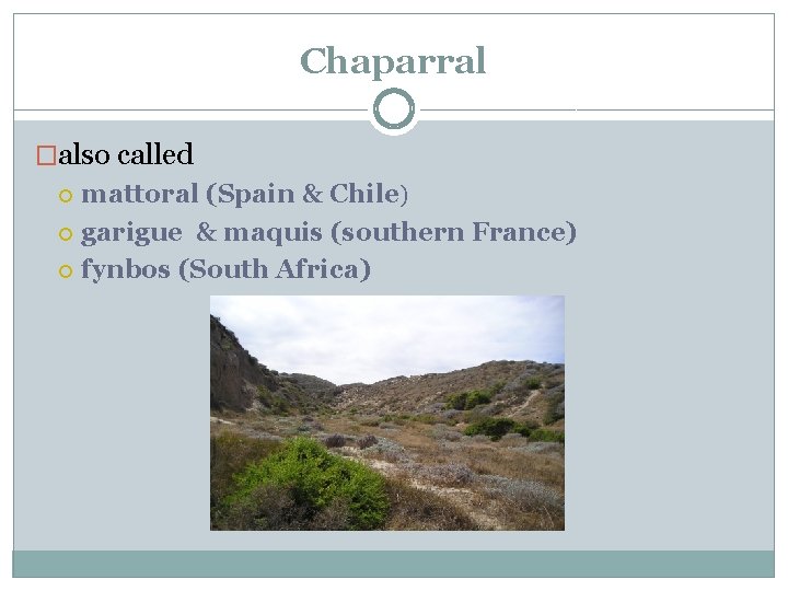 Chaparral �also called mattoral (Spain & Chile) garigue & maquis (southern France) fynbos (South