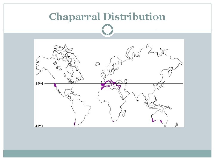 Chaparral Distribution 