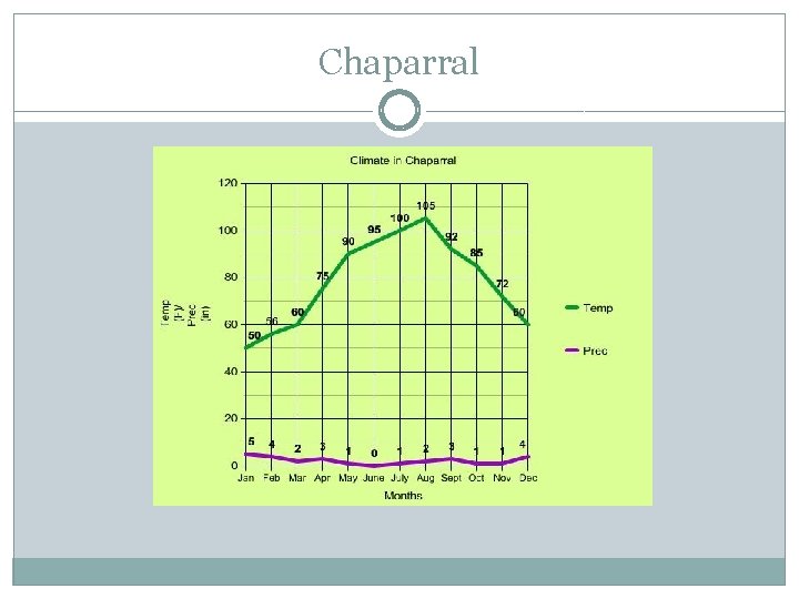 Chaparral 