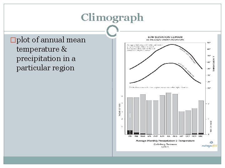 Climograph �plot of annual mean temperature & precipitation in a particular region 