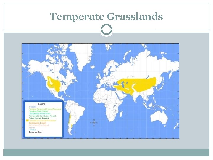Temperate Grasslands 