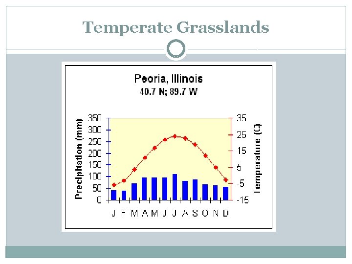 Temperate Grasslands 