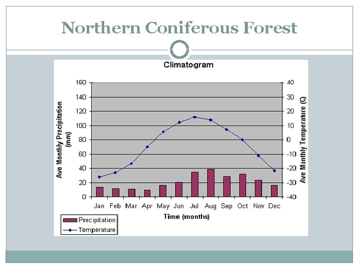 Northern Coniferous Forest 