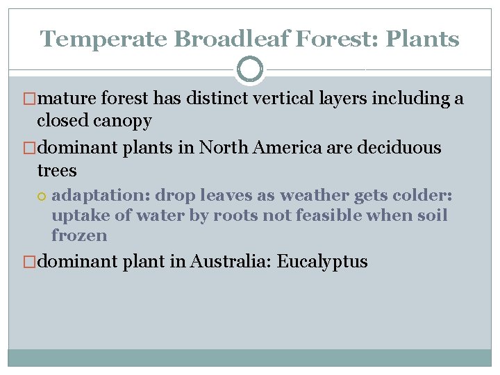 Temperate Broadleaf Forest: Plants �mature forest has distinct vertical layers including a closed canopy