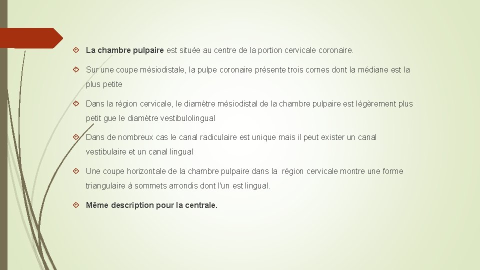  La chambre pulpaire est située au centre de la portion cervicale coronaire. Sur