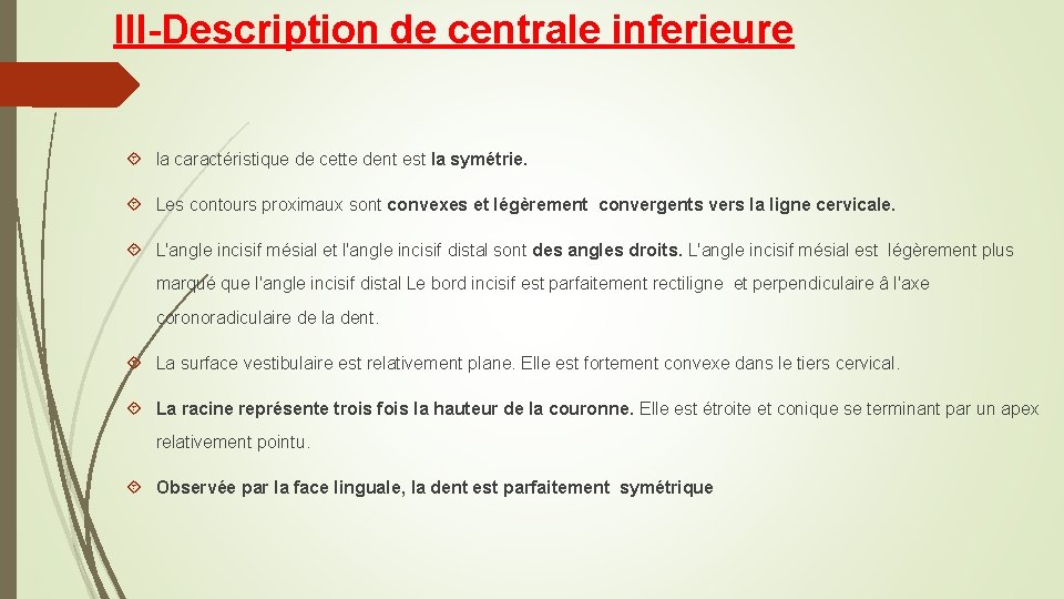 III-Description de centrale inferieure la caractéristique de cette dent est la symétrie. Les contours