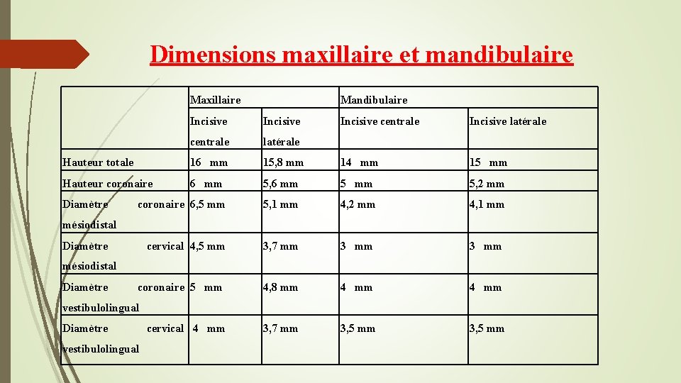 Dimensions maxillaire et mandibulaire Maxillaire Mandibulaire Incisive centrale latérale Hauteur totale 16 mm Hauteur