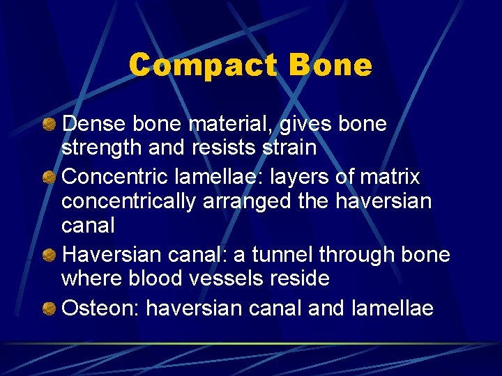 Compact Bone Dense bone material, gives bone strength and resists strain Concentric lamellae: layers