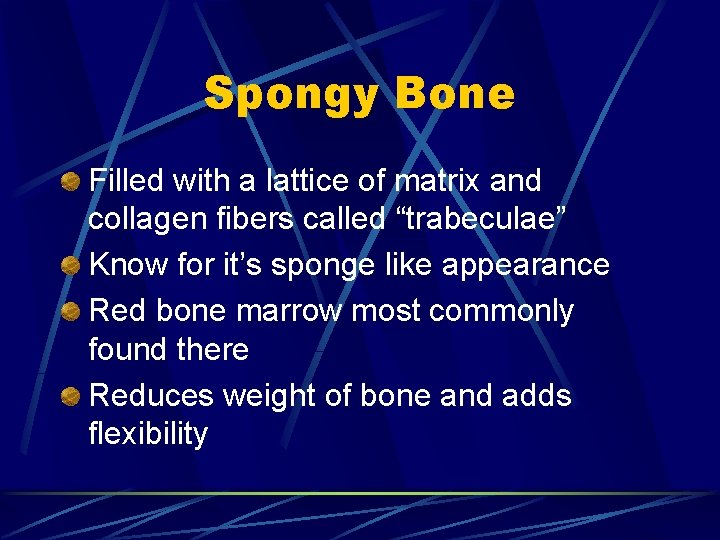 Spongy Bone Filled with a lattice of matrix and collagen fibers called “trabeculae” Know