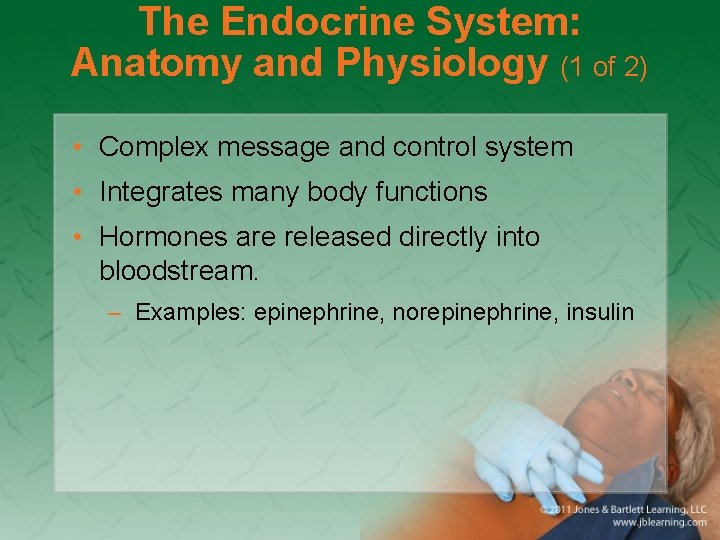 The Endocrine System: Anatomy and Physiology (1 of 2) • Complex message and control