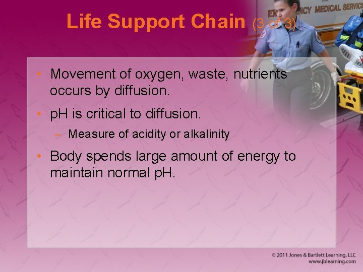 Life Support Chain (3 of 3) • Movement of oxygen, waste, nutrients occurs by