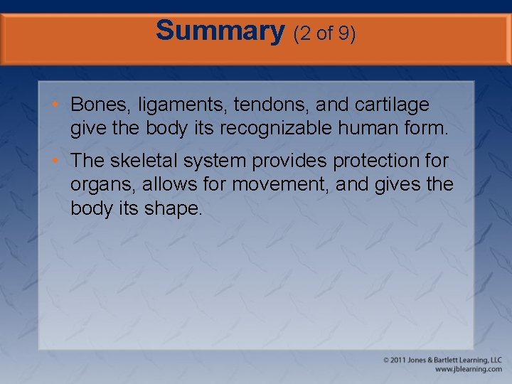 Summary (2 of 9) • Bones, ligaments, tendons, and cartilage give the body its